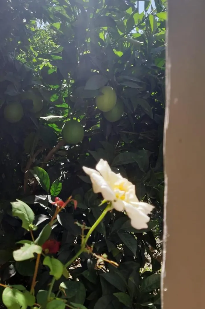 Guest House Emi Berat