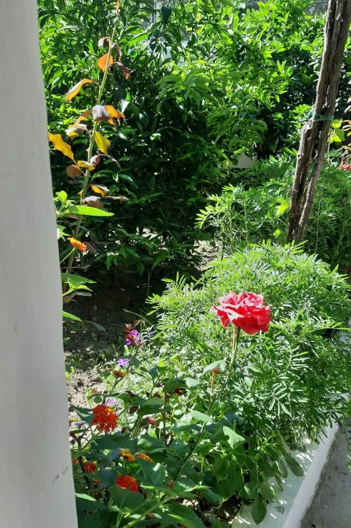 Guest House Emi Berat Albania