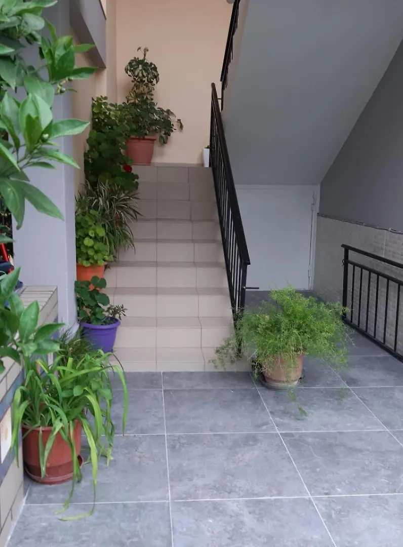 Guest House Emi 培拉特 公寓